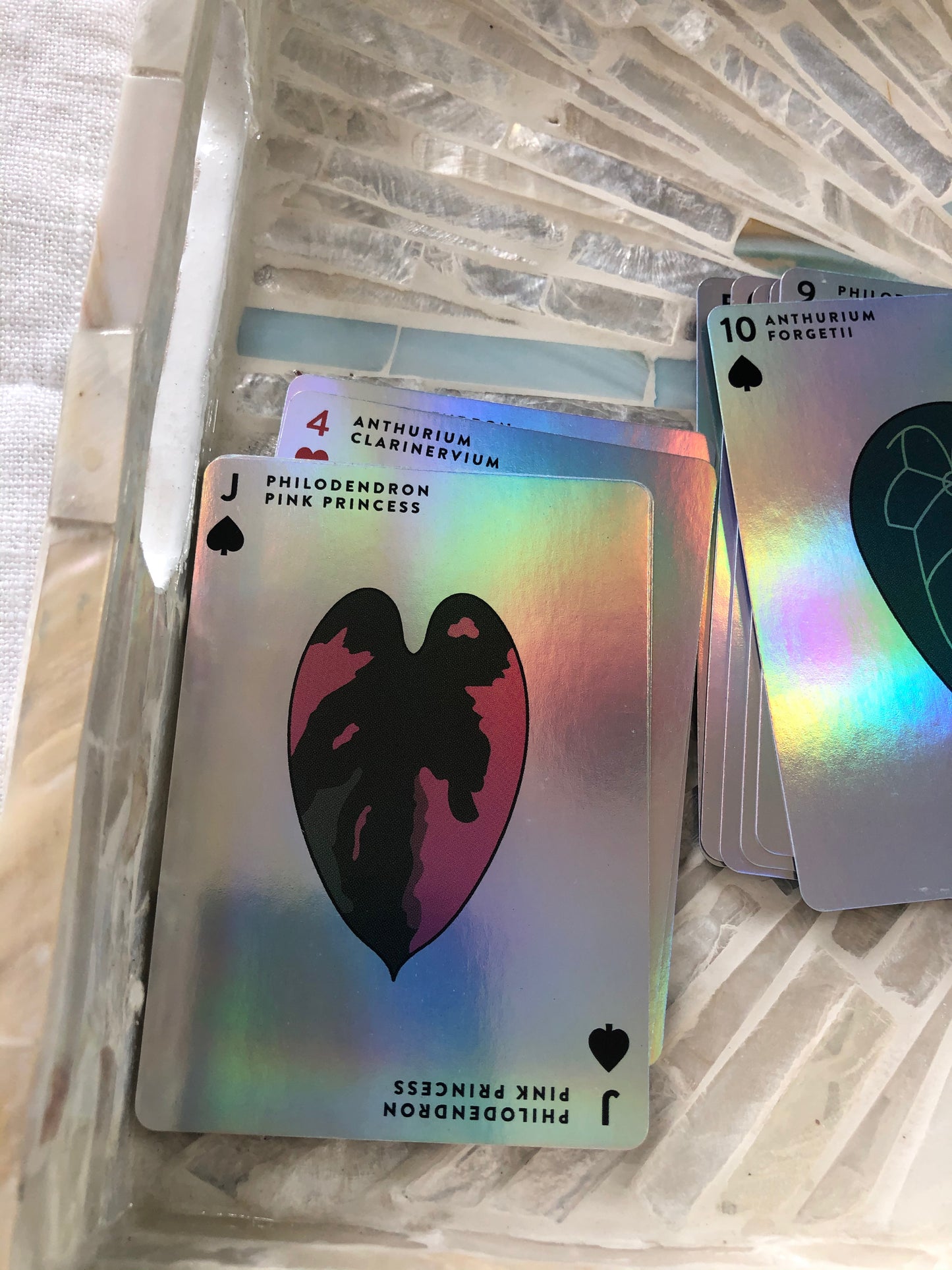 Philodendron Pink Princess Holographic Sticker