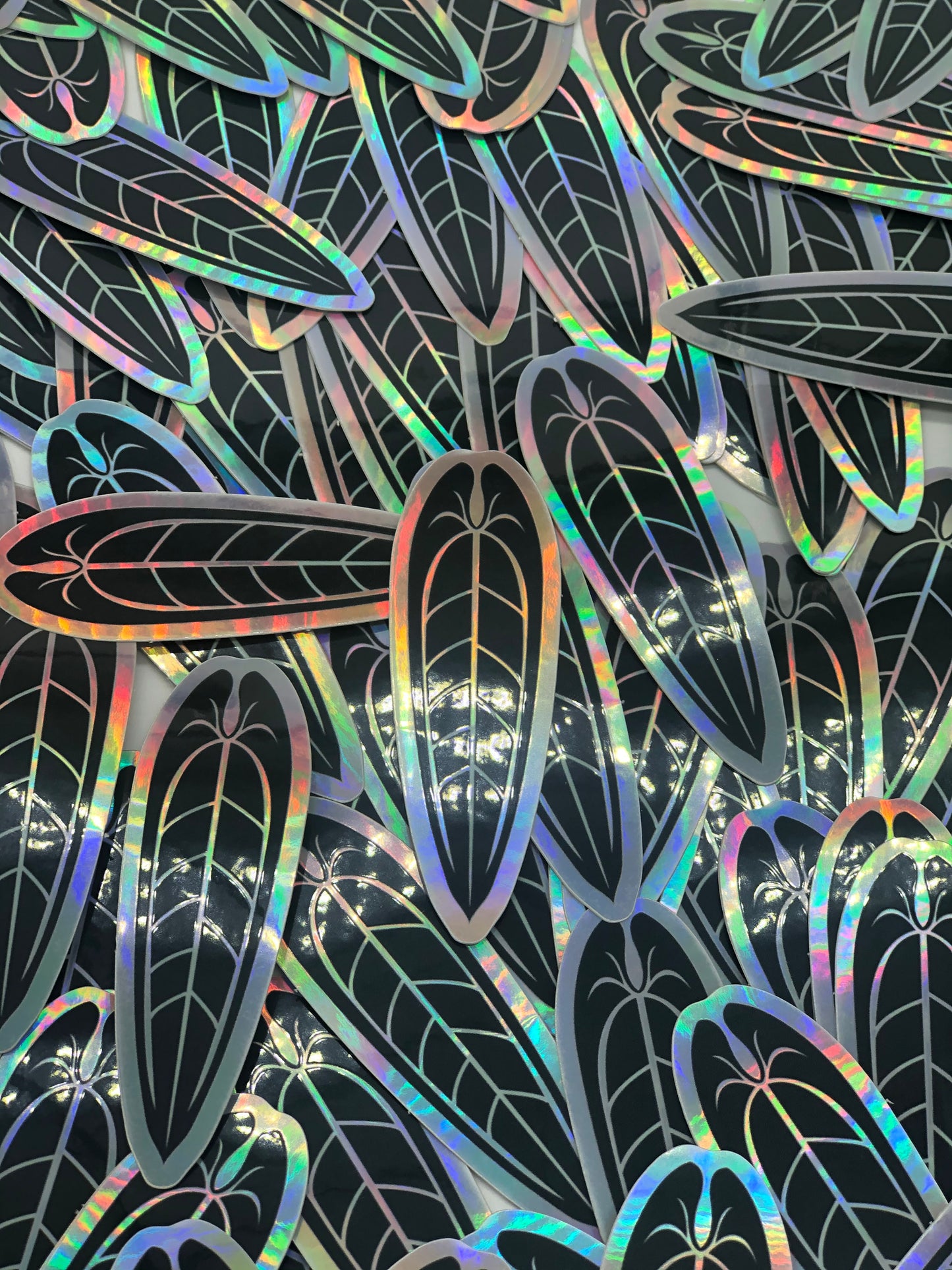 Anthurium Warocquenum Holographic Sticker