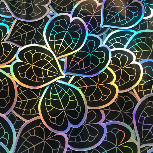 Anthurium Clarinervium Holographic Sticker