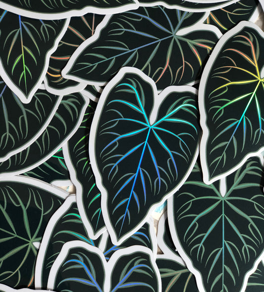 Philodendron Verrucosum Holographic Sticker