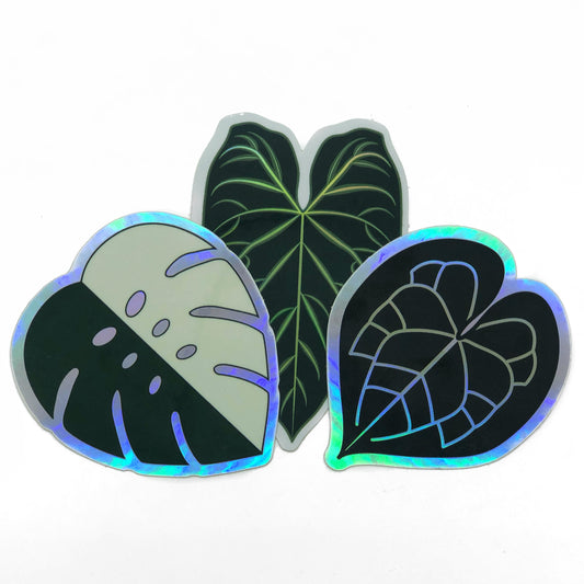 Sticker set 3x Holographic