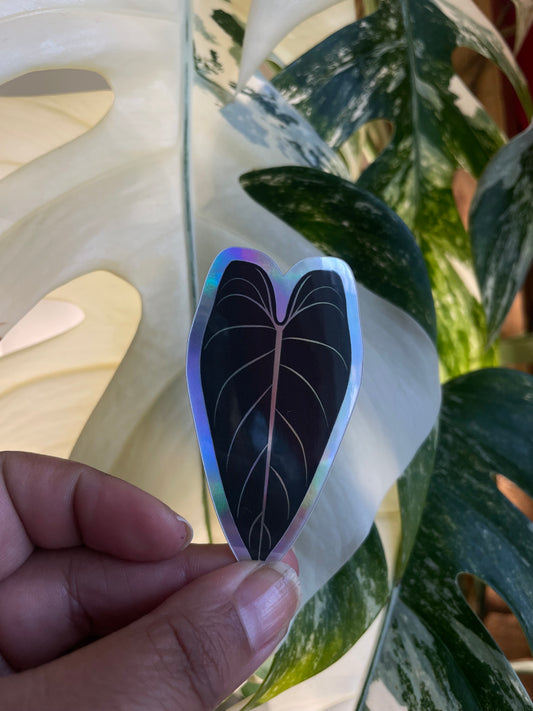 Philodendron Melanochrysum Holographic Sticker