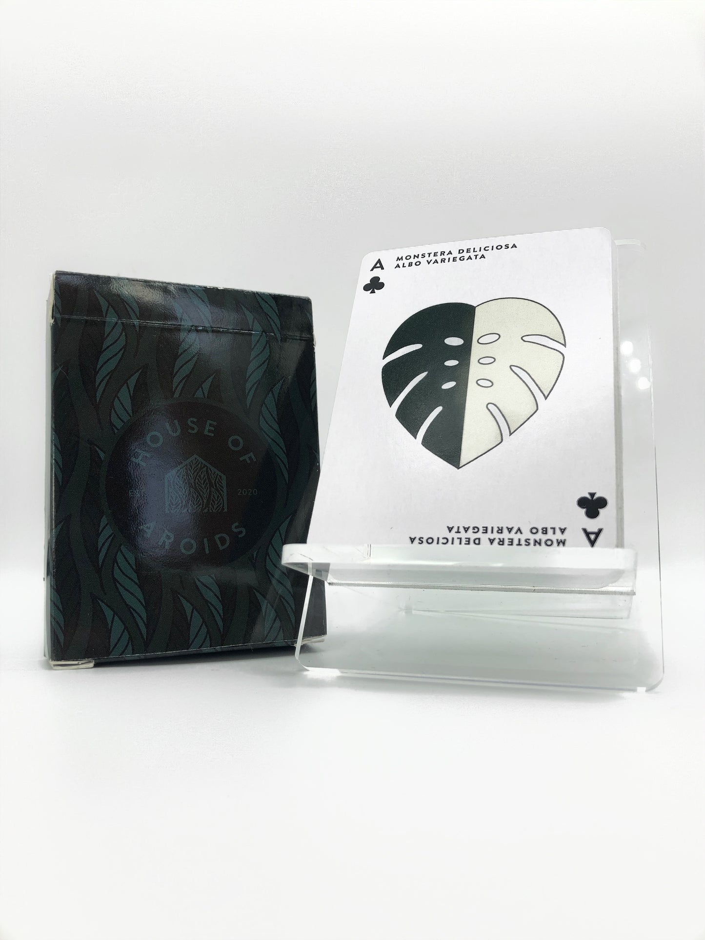 Aroid Poker Cards