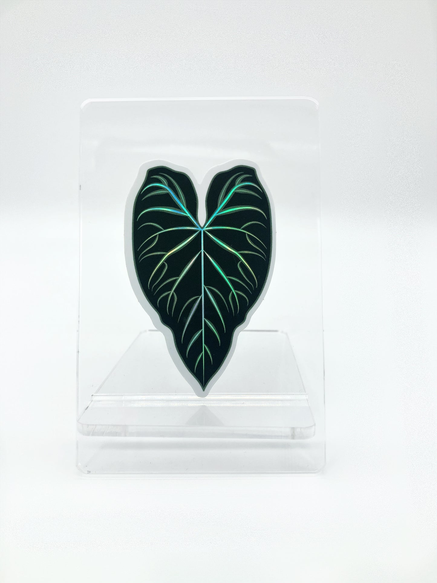 Philodendron Verrucosum Holographic Sticker
