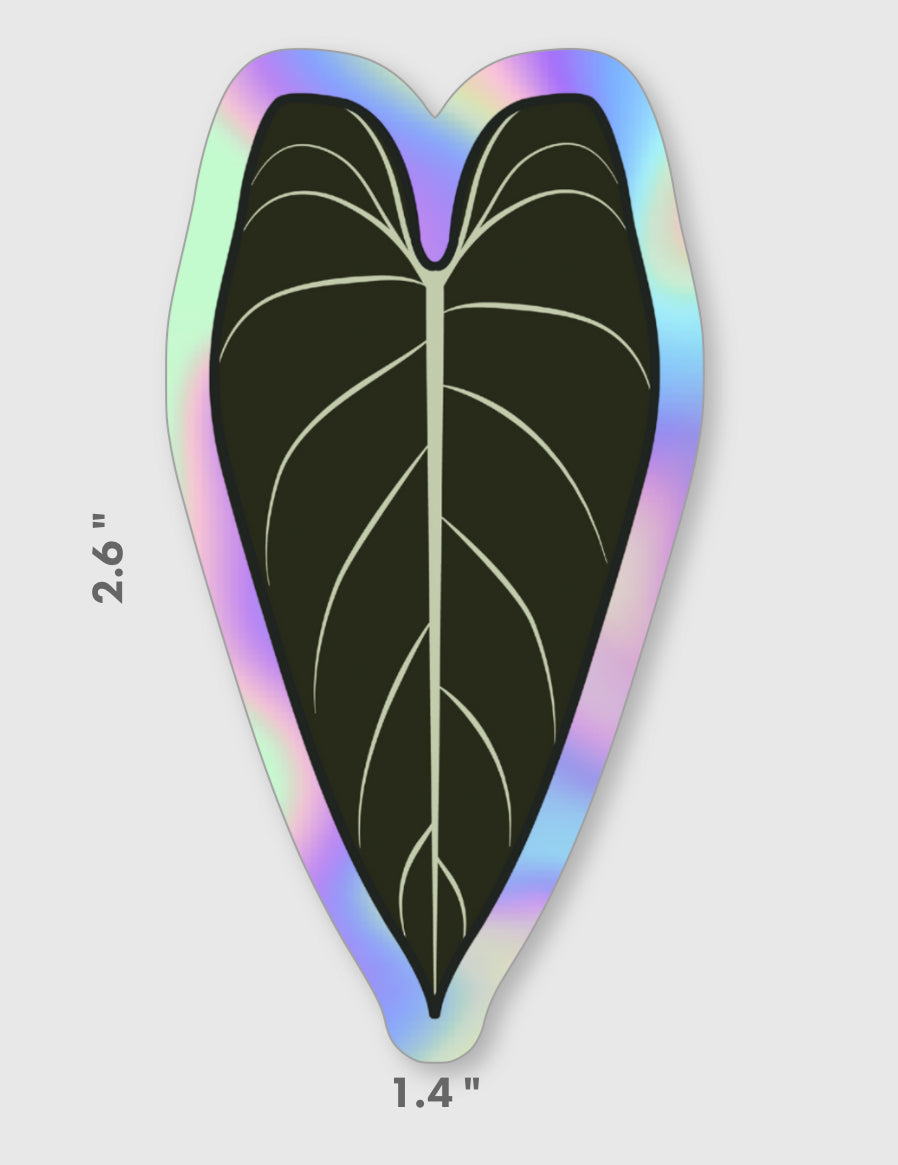 Philodendron Melanochrysum Holographic Sticker