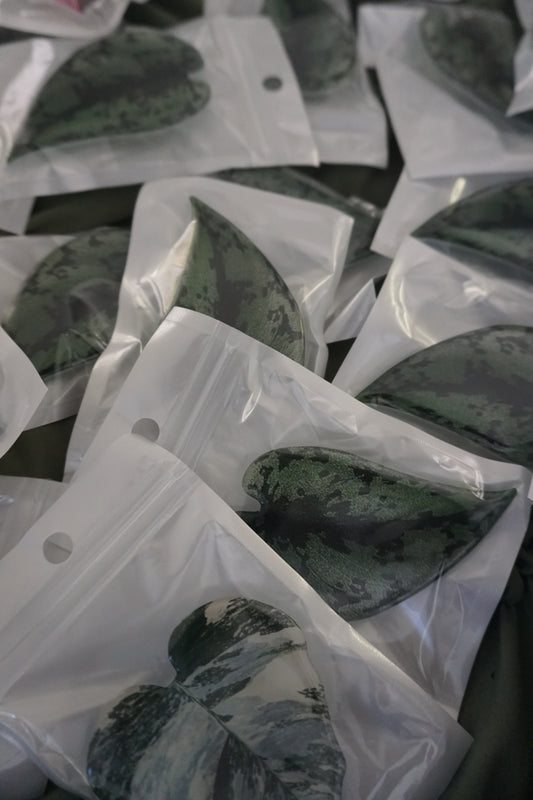 Phone Grip SCINDAPSUS