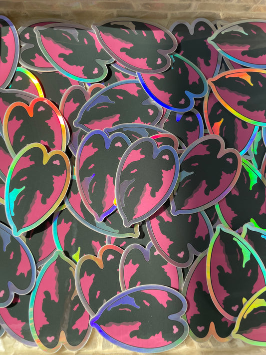 Philodendron Pink Princess Holographic Sticker