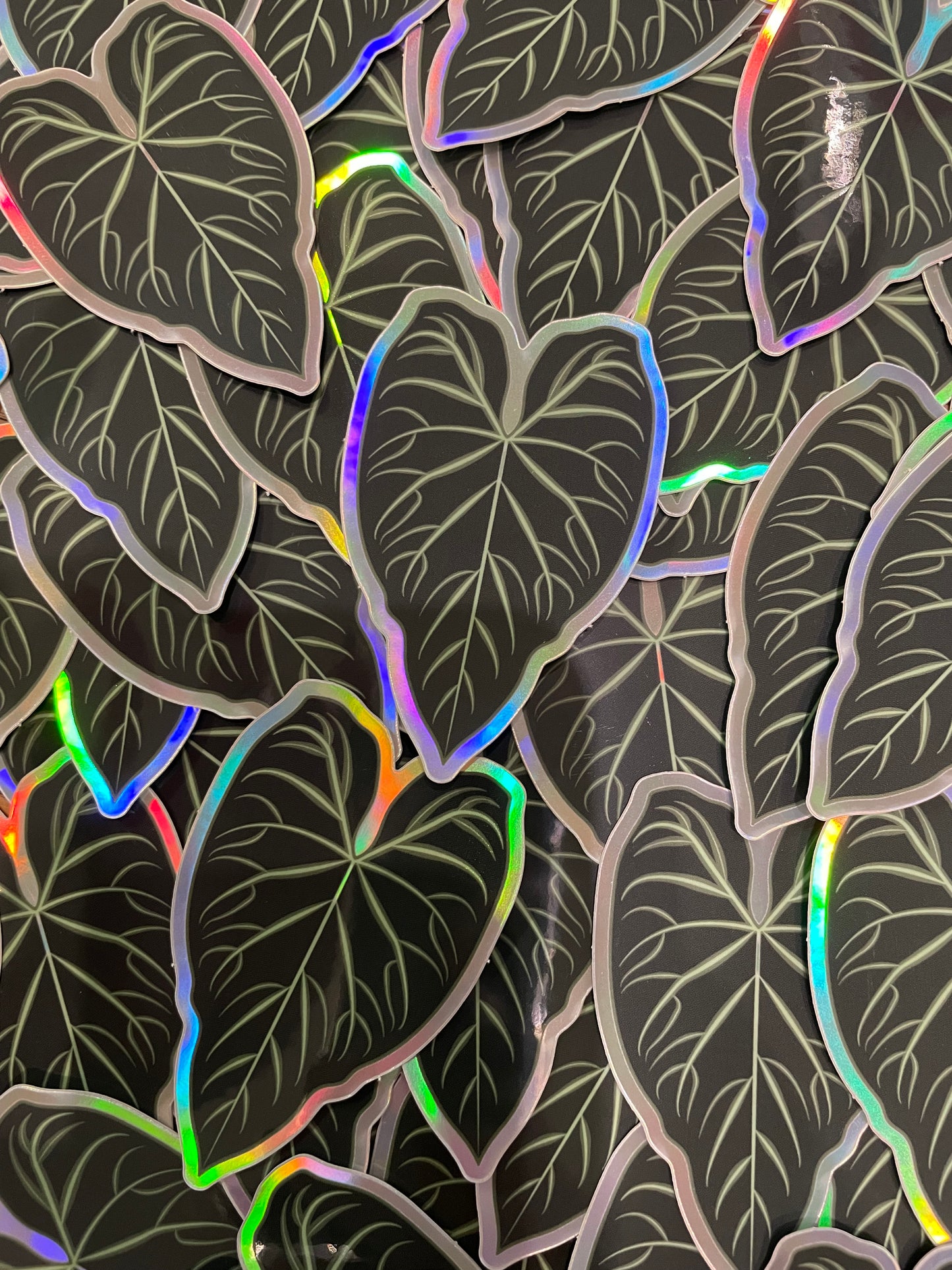 Philodendron Verrucosum Holographic Sticker