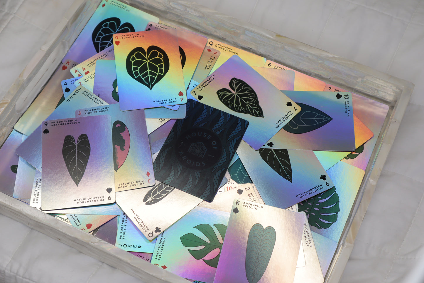 Aroid Playing Cards – 55-Card Pre-Order Deck