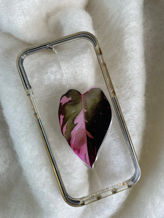 Phone Grip Philodendorn Pink Princess