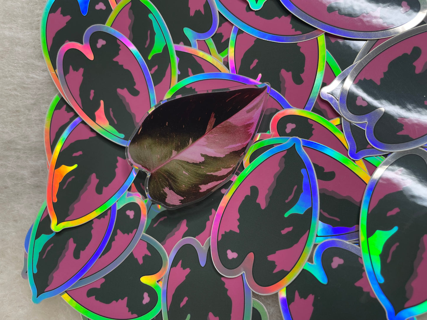 Philodendron Pink Princess Holographic Sticker