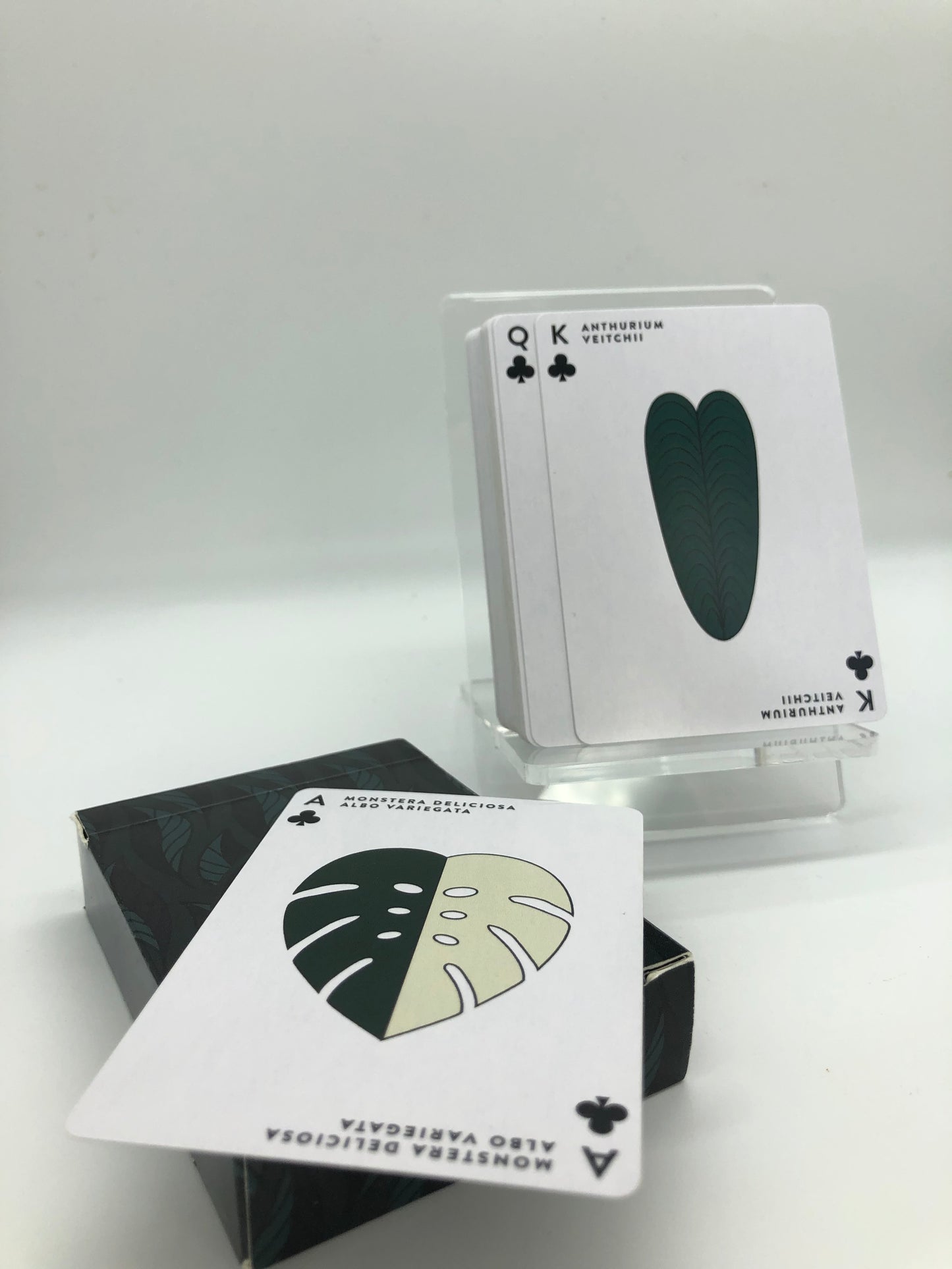 Aroid Poker Cards