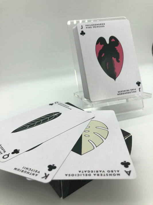 Aroid Poker Cards