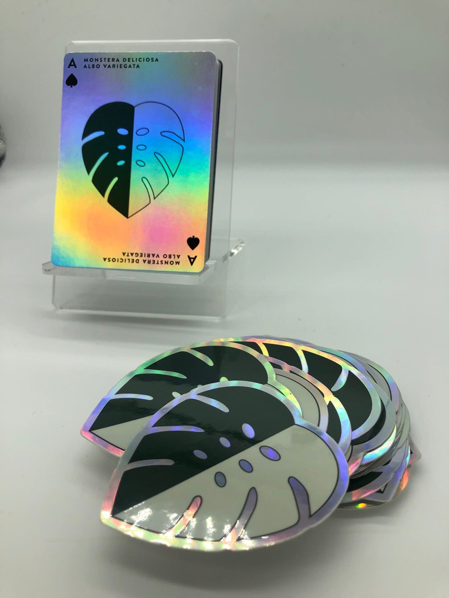 Monstera Albo Holographic Sticker