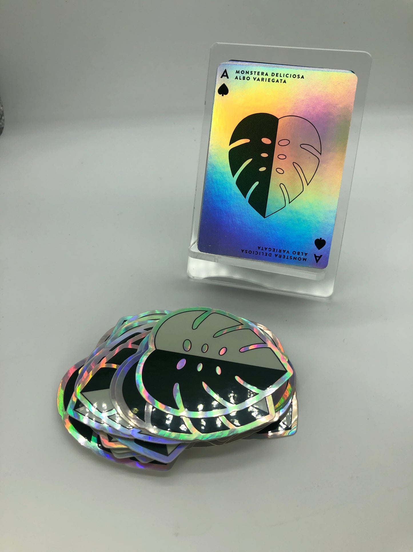 Aroid Playing Cards – 55-Card Pre-Order Deck