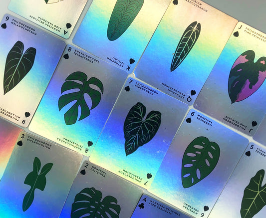 Aroid Playing Cards – 55-Card Pre-Order Deck