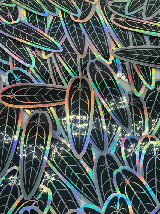 Anthurium Warocquenum Holographic Sticker