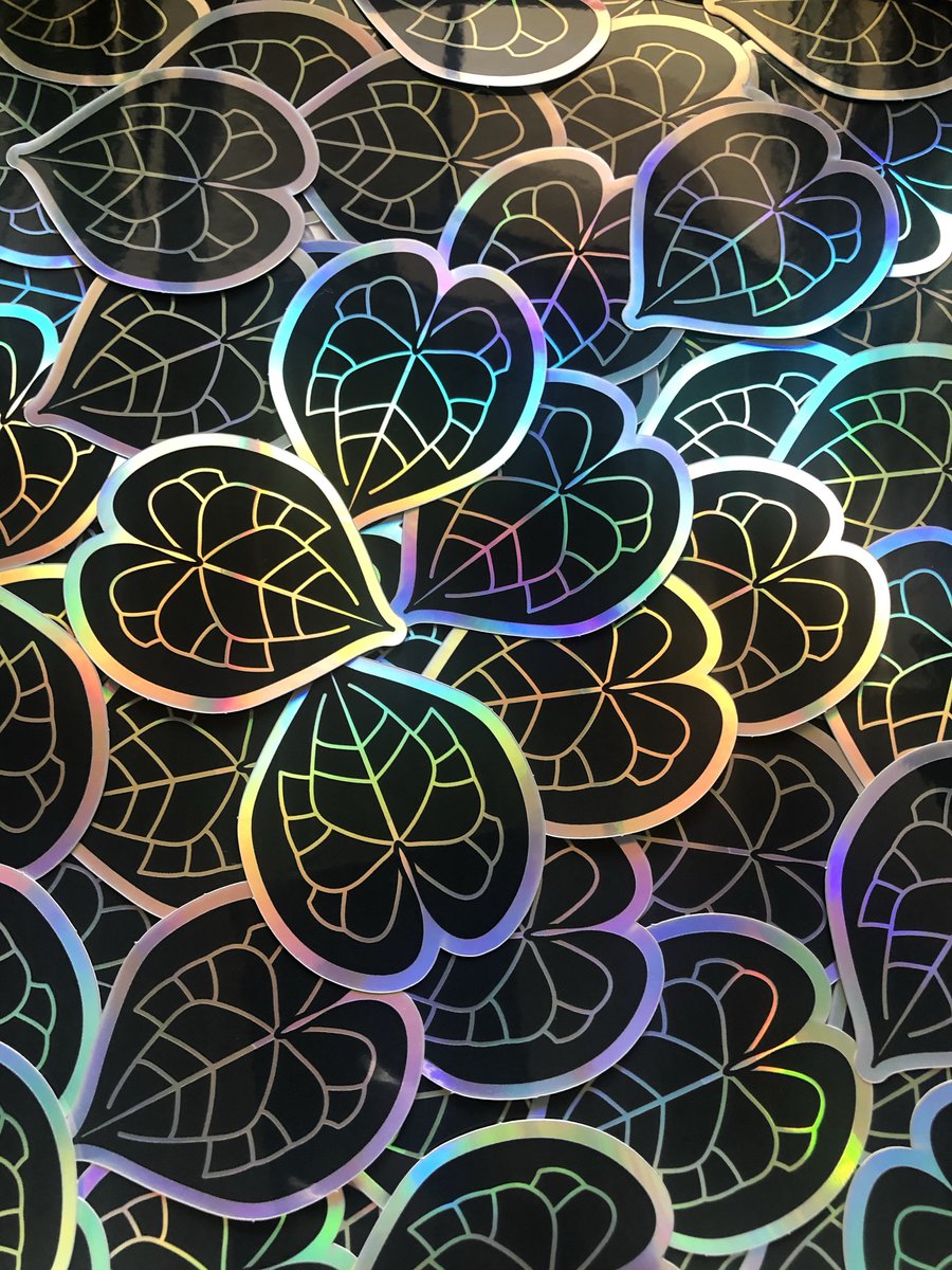 Anthurium Clarinervium Holographic Sticker