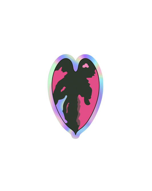 Philodendron Pink Princess Holographic Sticker