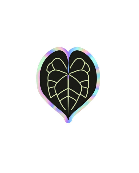 Anthurium Clarinervium Holographic Sticker