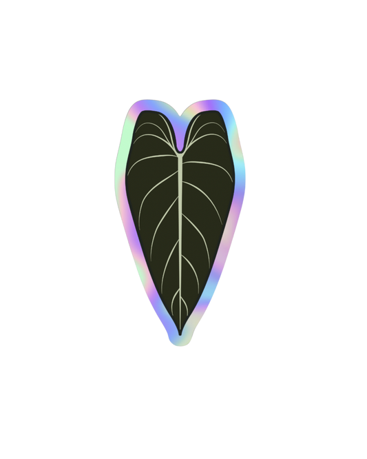 Philodendron Melanochrysum Holographic Sticker