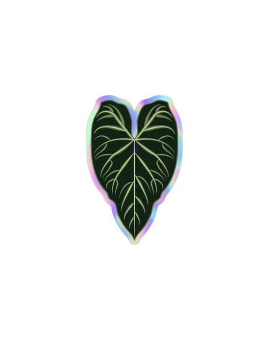 Philodendron Verrucosum Holographic Sticker